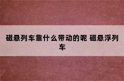 磁悬列车靠什么带动的呢 磁悬浮列车